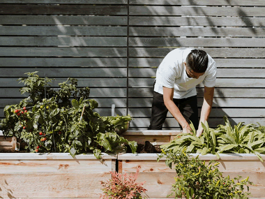 Funding for new Lee allotments